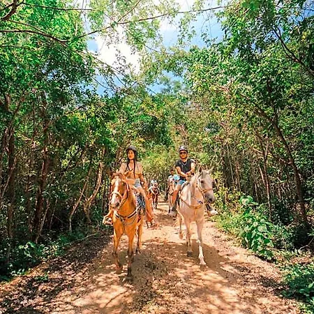 Energy Tulum Holistic Ranch