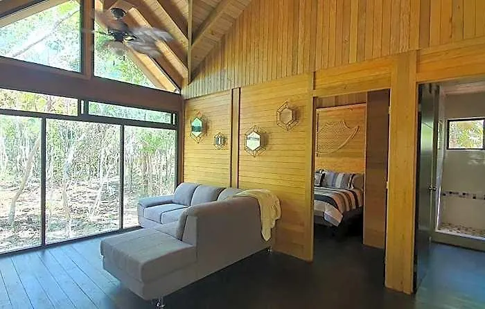 Energy Holistic Ranch *