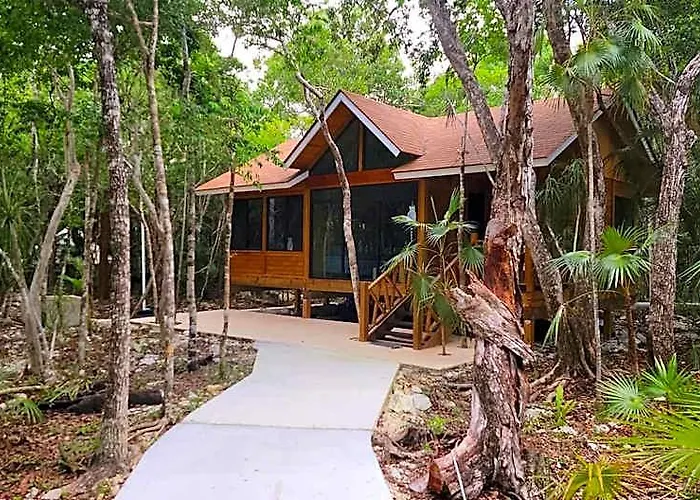 Energy Holistic Ranch