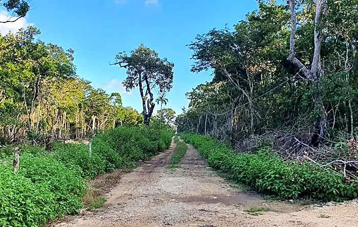 Energy Holistic Ranch * Tulum Pueblo